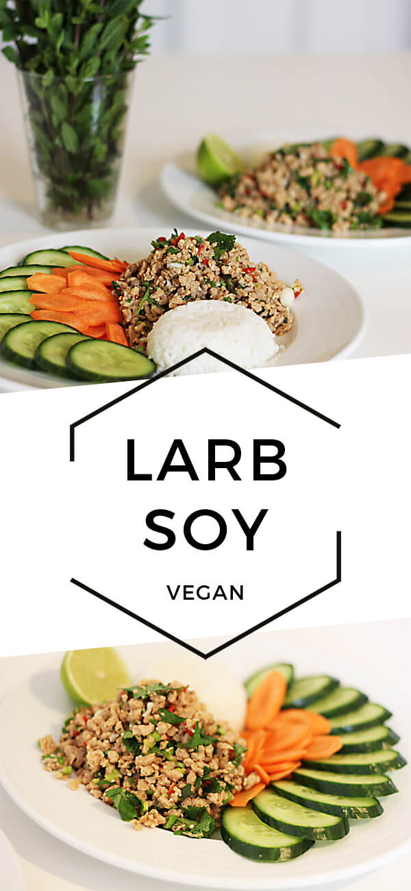 Larb Soy (Vegan) - Cheap & Cheerful Cooking - Vegan Recipes